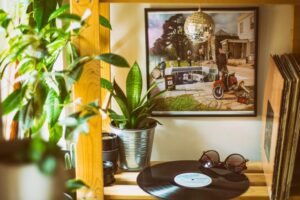 How to Refresh Your Home with Plants: Easy Tips for a Lively Space